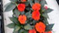 Electric Orange Sunpatiens