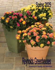 Spring_2025